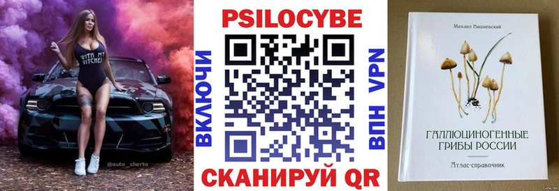 Купить где  Наволоки  Псилоцибиновые грибы Psilocybe 